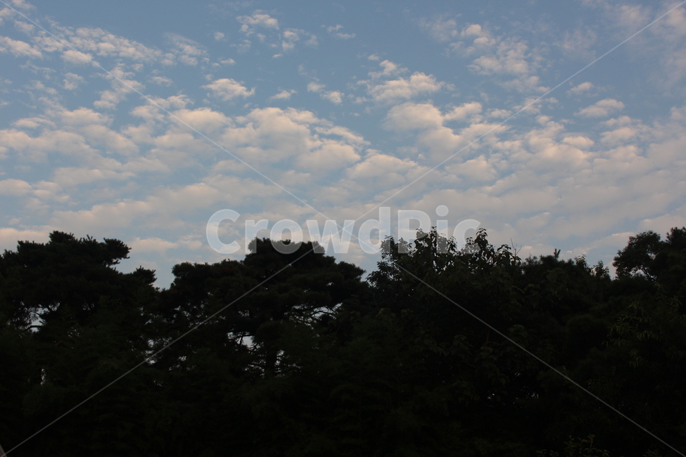 nature,자연,weather,날씨,outdoors,옥외,cloud,구름,sky,하늘,cumulus,적운,배경,배경화면,자연,풍경,nature,landscape