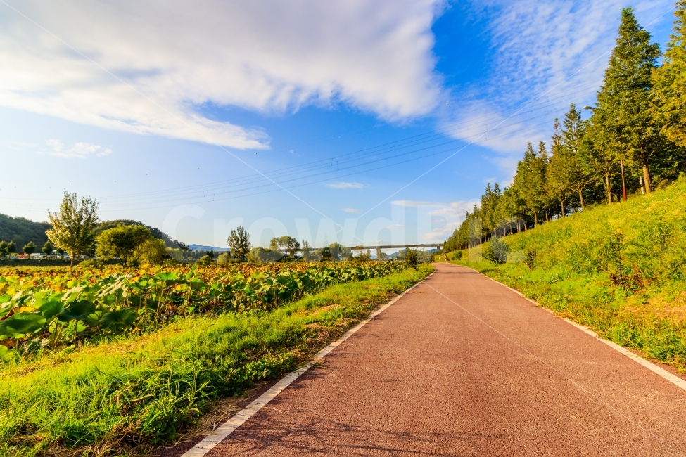 자연,풍경,구름,산책,가을,하늘,자연,풍경,nature,landscape,시골,마을,country,rural,town,road,도로,asphalt,아스팔트