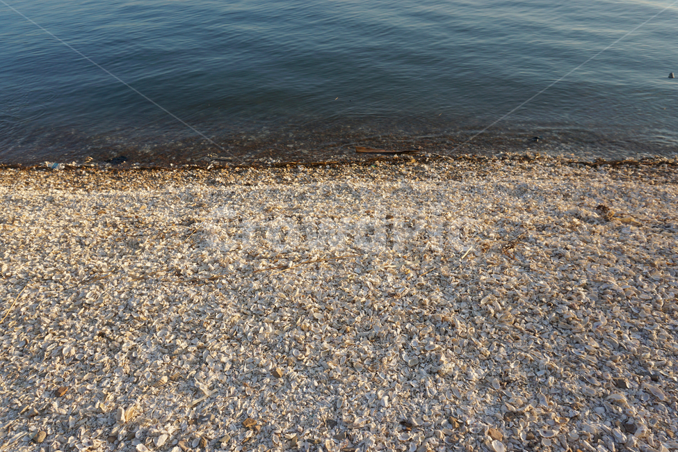 바다,해변,조개,해안,물,파랑,자연,풍경,nature,landscape,해변,바다,beach,sea,gravel,자갈,road,도로,dirt road,흙길