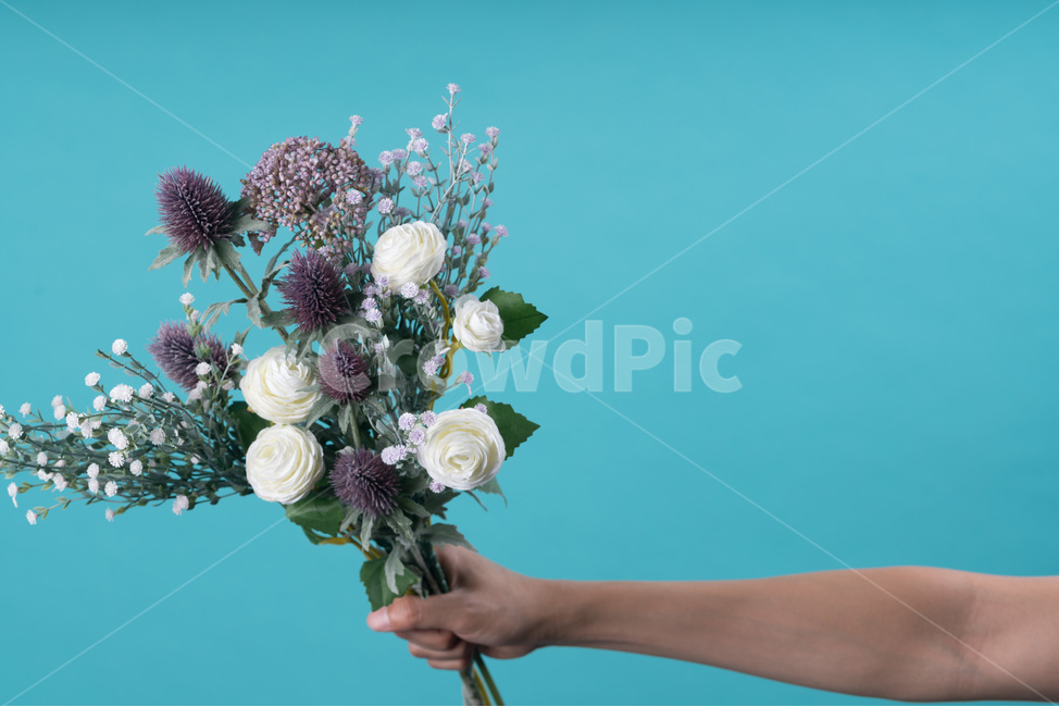 흰색,자연,녹색,장식,봄,식물,잎,디자인,꽃다발,결혼,계절,여름,야생화,줄기,신선하다,아름답다,향기,꽃,안개꽃,만개,나뭇잎,생명,부케,고백,사랑,선물,프로포즈,bouquetflowerbouquetlove,marriage,seasonal,summer,wildflower,stem,fresh,fragrance,petal,bloom,leaf,flower,life,bouquet,꽃,flower,사람,인물,인간,human,person,신체일부,몸,body