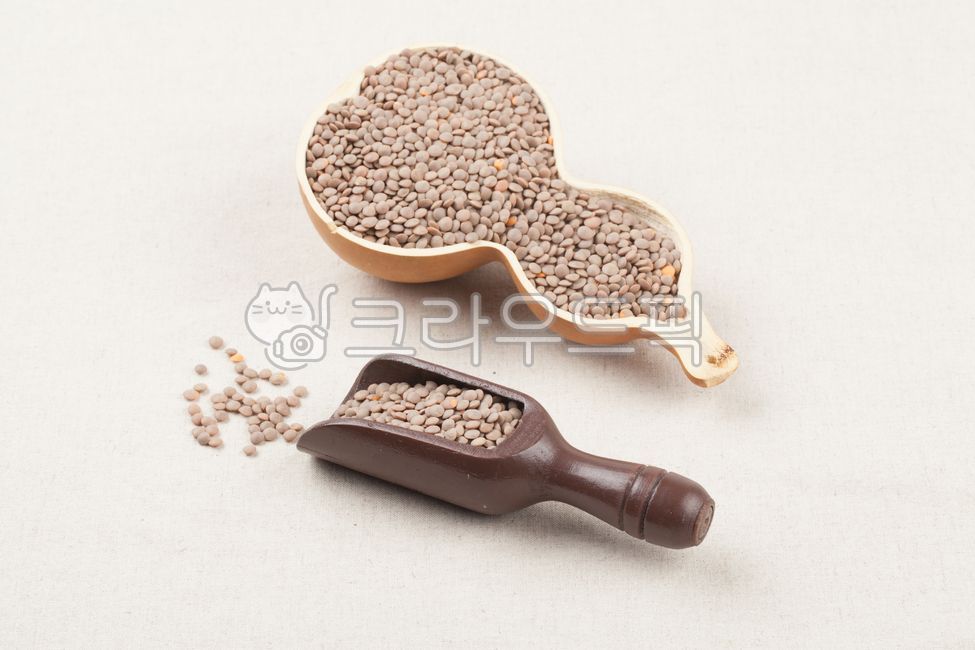 렌틸콩,콩,곡식,곡류,단백질,식이섬유,다이어트,렌즈콩,비타민,슈퍼푸드