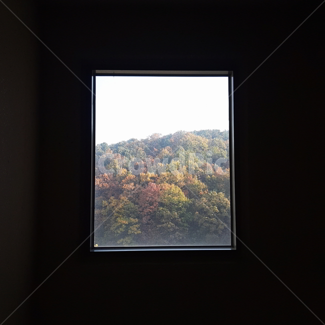 창문,가을,산,자연,나무,fall,nature