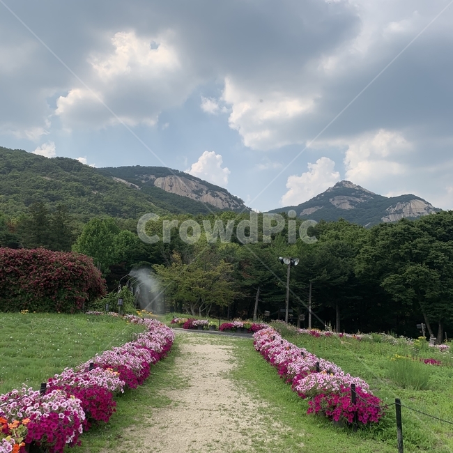 식물,꽃,flower,blossom,남양주,수목원,산들소리수목원