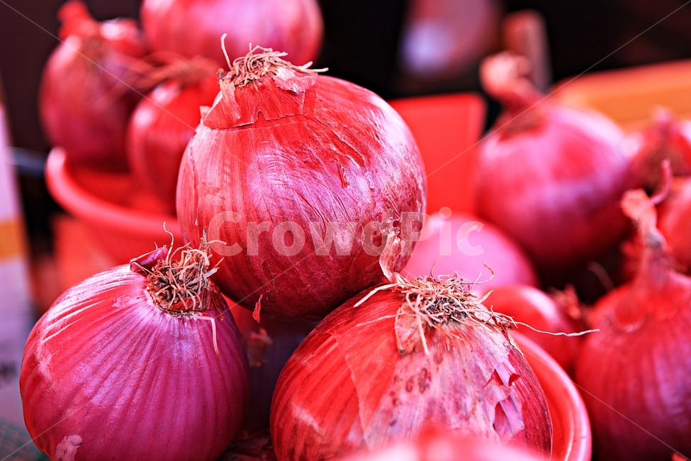적양파,양파,식재료,음식,먹거리,반찬,음식,식재료,요리,food,cook,meal,dishes,food reserves,채소,야채,vegetables