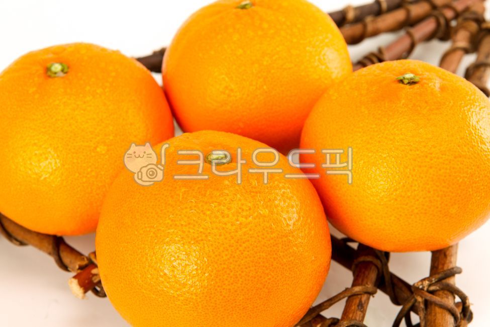 천혜향,계절과일,제주감귤,제주과일,cheonhyehyang,citrusfruit,fruit,food,과일,열매,fruit