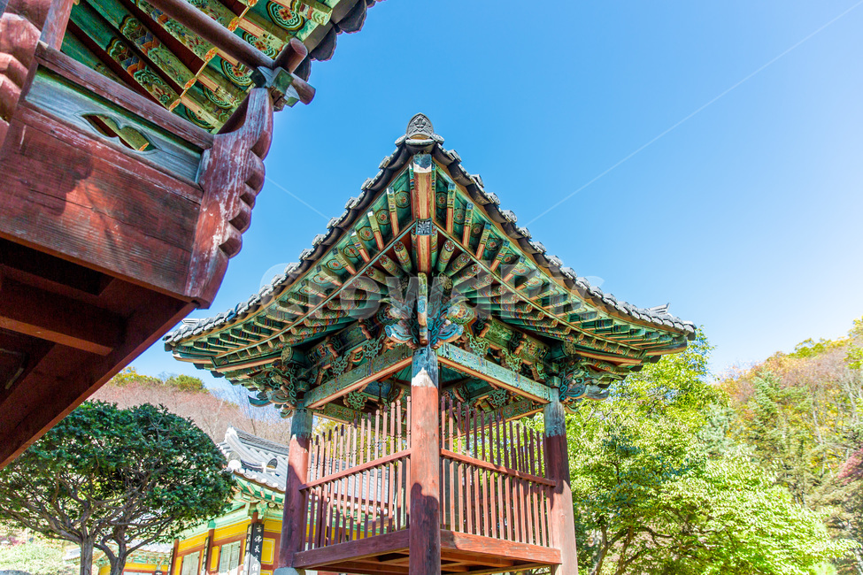 처마,추녀,단청,문양,종각,선,패턴,한국전통,한국문화,korean traditional,korean culture,건축물,건물외관,exterior,building,structure,architecture,construction