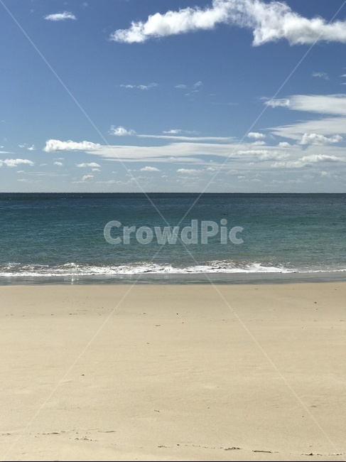 호주,australia,엘리자베스해변,elizabethbeach,pacificpalms,바닷가,겨울해변