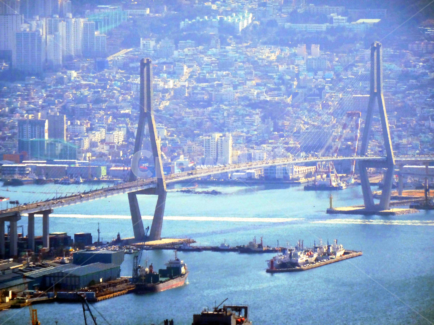 ship,sea,korea,Busan Port Bridge,Busan,civil construction,busan,cityscape,bridge,landscape,cargo ship