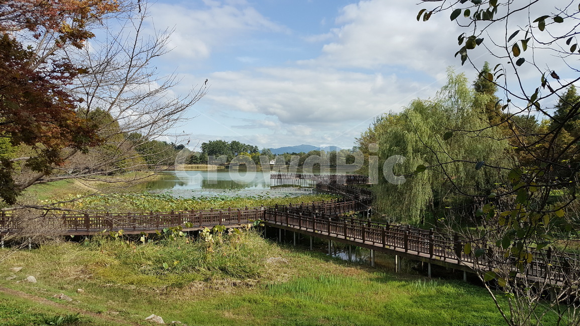 가을,풍경,공원,landscape,fall,park