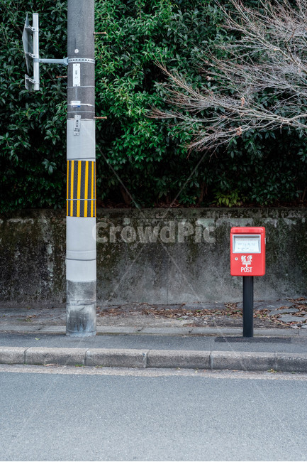 japan,일본,교토,전봇대,우체통,길,도로,나무,초록,해외,외국,세계,foreign,oversea,world