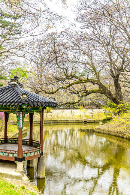 관람정,후원,고궁,연못,정자,창덕궁,반영,힐링,한국전통,한국문화,korean traditional,korean culture,랜드마크,landmark,tourist attraction,한국랜드마크,한국관광지,한국명소,korea landmark,korea tourist attraction,건축물,건물외관,exterior,building,structure,architecture,construction