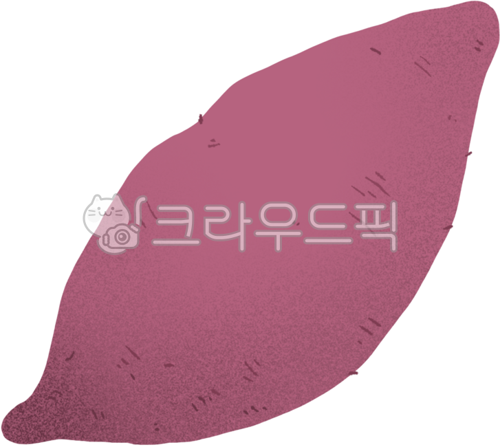 요리,음식,식자재,식료품,신선제품,야채,채소,유기농,식물,고구마,food,cook,vegetable,sweetpotato,요리재료,음식재료,건강,식단,다이어트,자연,샐러드,시징놀이,구황작물,일러스트