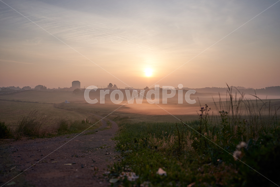 안성팜랜드,일출,물안개,안개,아침,목장,자연,풍경,nature,landscape,light,빛,flare,플레어,outdoors,옥외