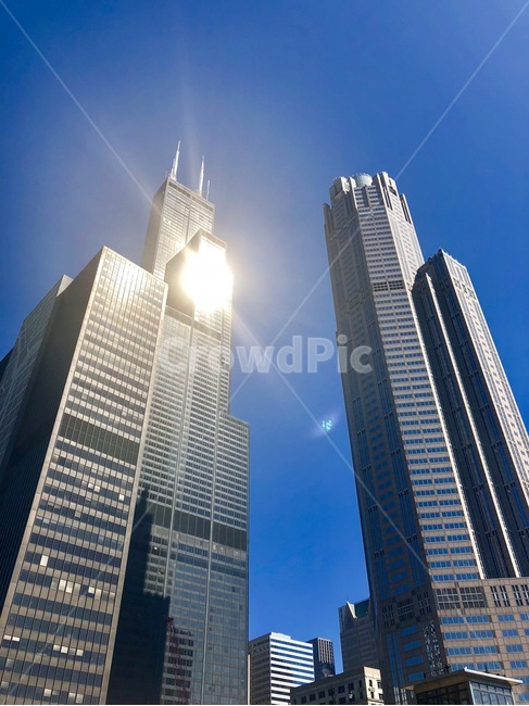 building,건물,city,고층건물,시카고