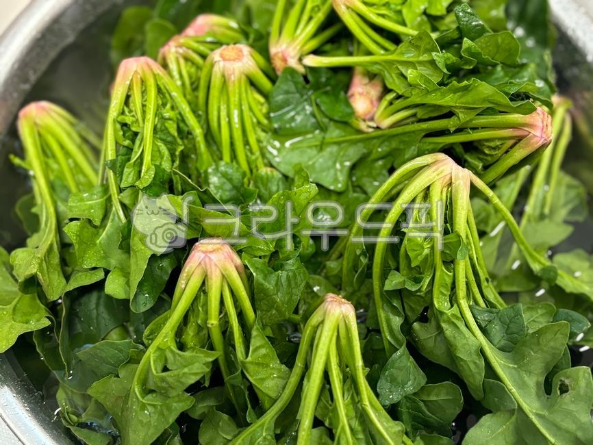 Spinach,spinach side dish,winter food,winter side dish,green food,side dish,Korean food,side dish
