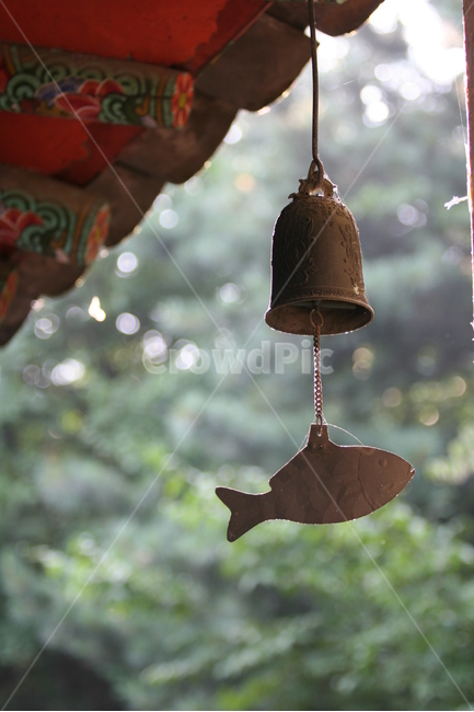 풍경,절,고요,풍경소리,맑음,초점,포커스,한국,한국전통,한국문화,korean traditional,korean culture,종교,신앙,religion,belief,faith