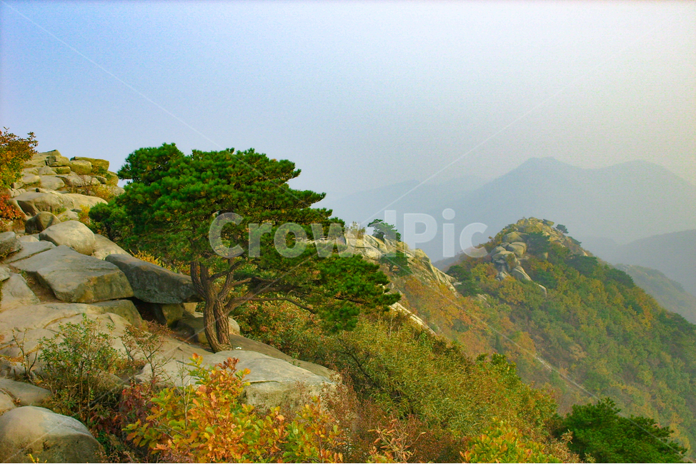 nature,자연,outdoors,옥외,소나무,마니산,산,돌산,자연,풍경,nature,landscape
