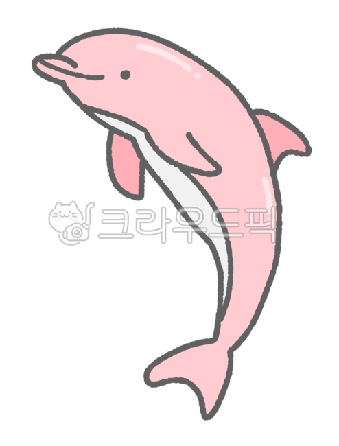 돌고래,고래,바다,여름,해양,해양생물,일러스트,손그림,돌고래일러스트,돌고래그림,돌고래누끼,누끼,돌고래png,animal,동물,dolphin,핑크색,mammal,sealife,핑크,분홍색
