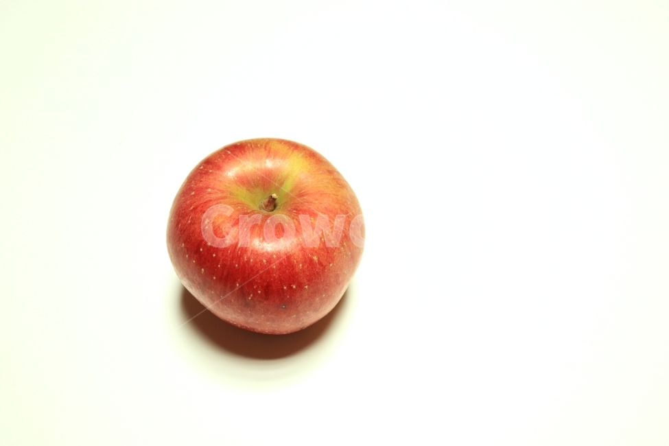 plant,식물,apple,사과,food,음식,fruit,과일