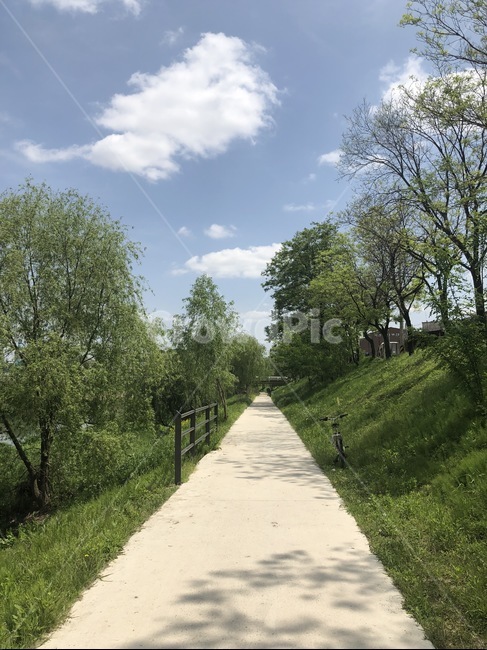 길,뻗은길,초록,숲,희망,미래,road,여행길,자전거길,숲길,힐링