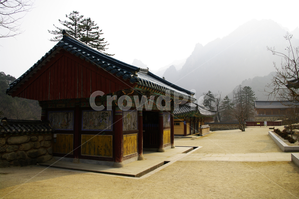 신흥사,사찰,절,전통,건축,기와,지붕