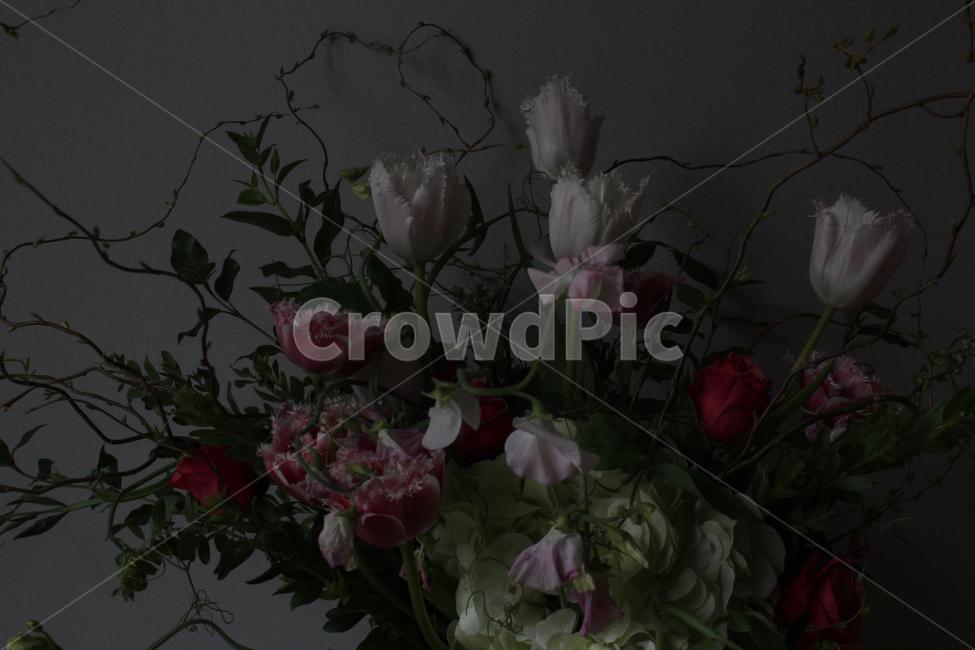 꽃,식물,blossom,flower,plant,꽃다발,나무가지,장미,수국,풀,꽃,flower