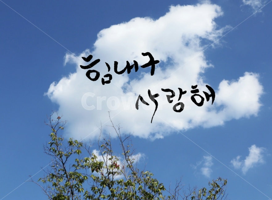 캘리그라피,사랑,격려,손글씨,구름,자연,풍경,nature,landscape,캘리그라피,손글씨,calligraphy,bird,새,animal,동물