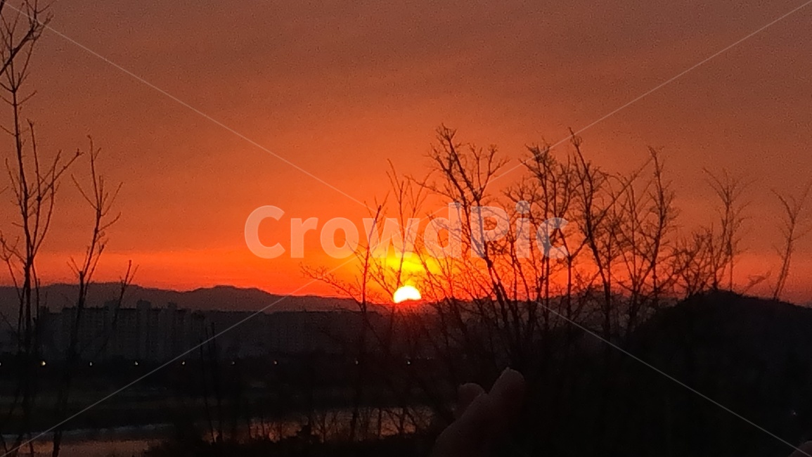 일출,새해,해,주황색,풍경,자연,풍경,nature,landscape,outdoors,옥외,dusk,황혼,sunset,일몰,sky,하늘,dawn,새벽,red sky,붉은 하늘