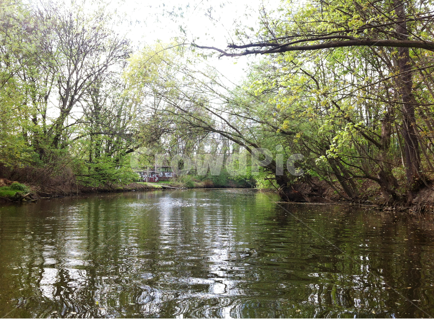water,물,nature,자연,강,수풀,물위,평온,나무,outdoors,landscape,자연풍경,노젖는배,나무,trees,wood