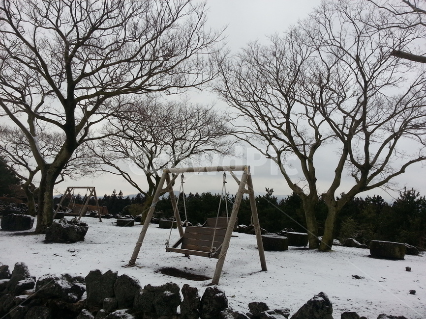 제주,그네,나무,눈,풍경,겨울,계절,winter,season