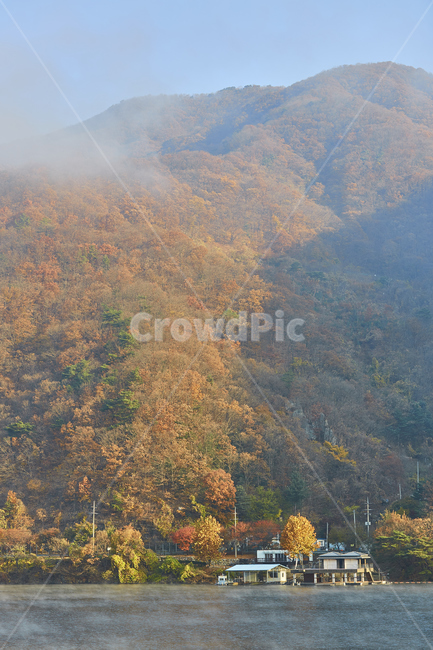 가을,강,자연,단풍,아침,풍경,nature,outdoors