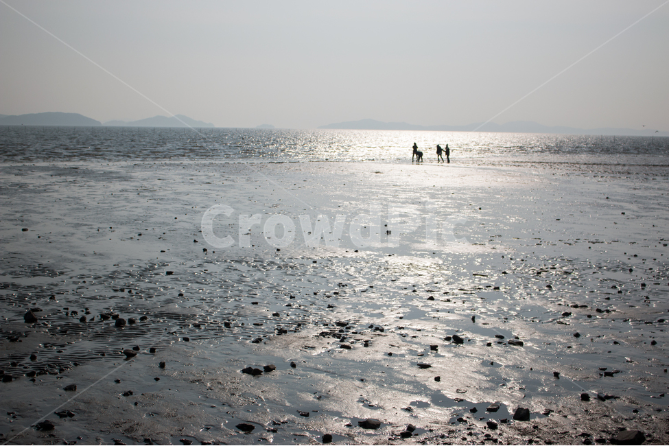 바다,자연,갯벌,놀이,썰물,오후,휴식,자연,풍경,nature,landscape,해변,바다,beach,sea