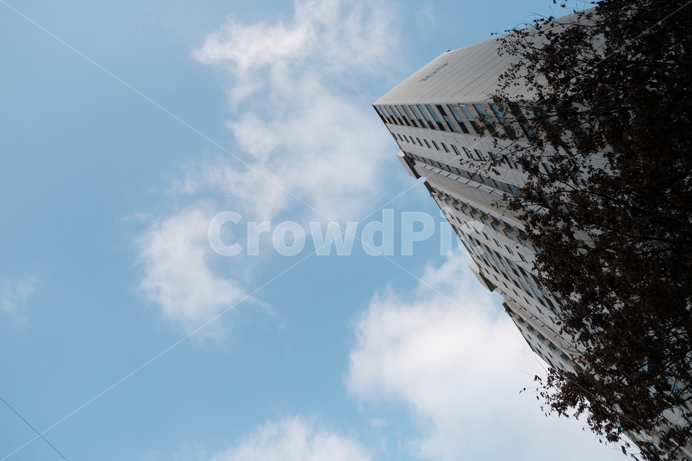하늘,구름,나무,블루,sky,tree,blue,white,cloud,아파트,apartment,officebuilding,사무실건물,building,건물