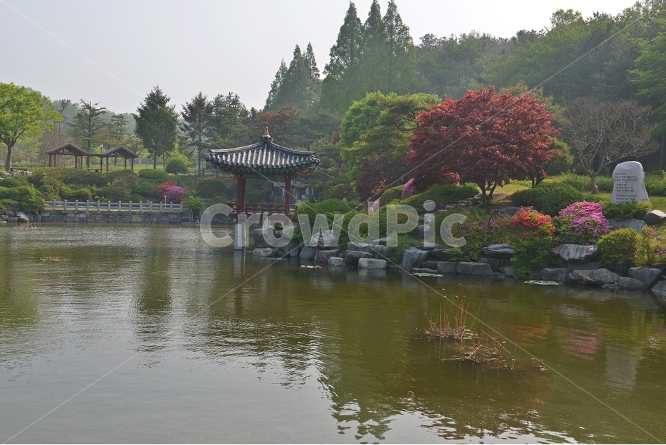 충남,대전,현충원,국립현충원,현충지,pond,못,garden,정원,연못,반영,현충지봄,철쭉,철쭉꽃,봄,계절,경치,경관,풍경,outdoors,옥외,nature,자연,water,물,plant,식물,tree,나무,정자,쉼터