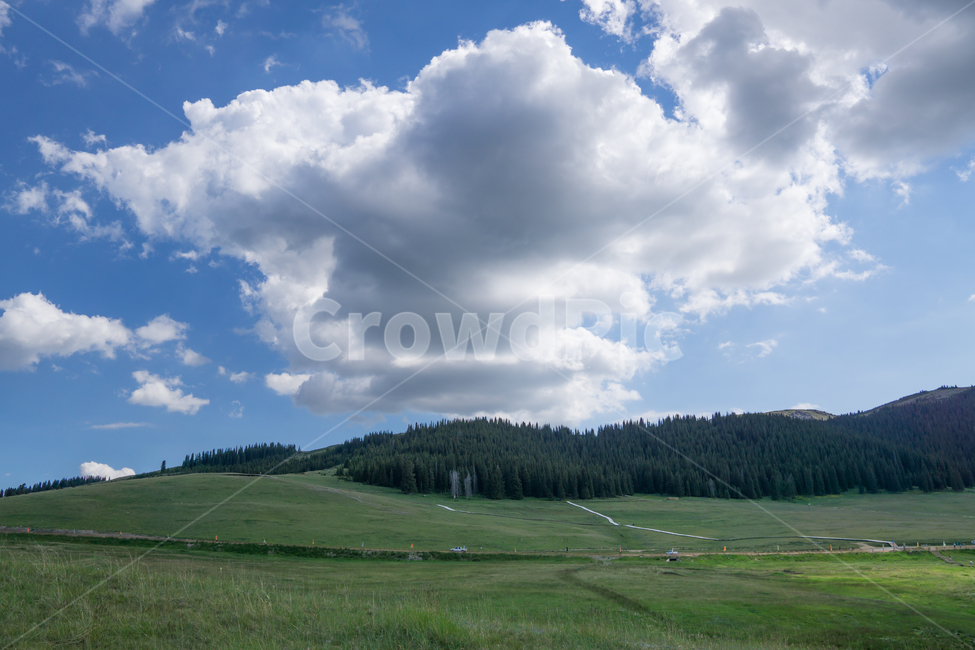 초원,먹구름,하늘,구름,파란하늘,자연,풍경,nature,landscape,outdoors,옥외,field,들,grassland,목초지,weather,날씨