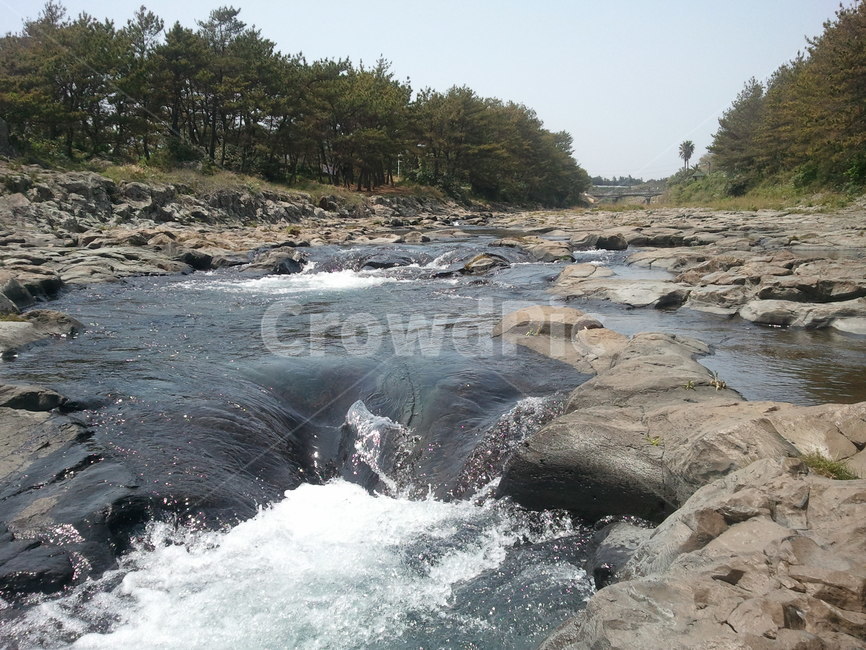 제주도,풍경,자연,강정마을,바다,나무,자연,풍경,nature,landscape,water,물,outdoors,옥외,river,강