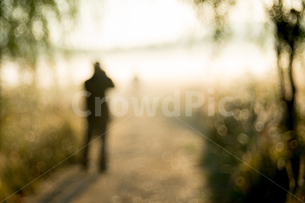 가을,보케,자연,풍경,autumn,bokeh,사람,인물,인간,human,person,인물실루엣,사람실루엣,character silhouette,human silhouette,감성,sensible,feeling