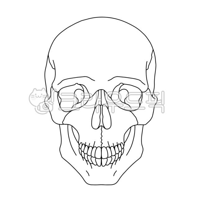 해골,해골일러스트,두개골,두개골일러스트,두개골그림,해골그림,인물화,얼굴,타투,타투도안,tatoo,미술,skull,skullillustration