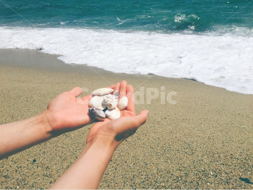 바다,손,여름,조개,바닷가,자연,풍경,nature,landscape,해변,바다,beach,sea,사람,인물,인간,human,person,신체일부,몸,body