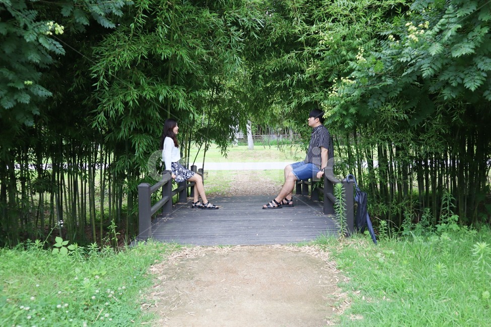 숲,정원,커플,garden,대나무
