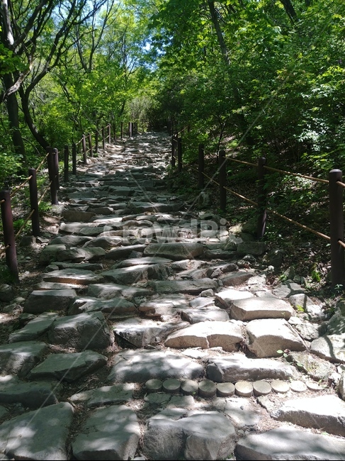 flagstone,판석,path,통로,옥외