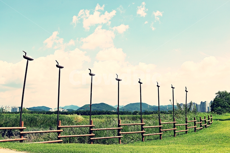시흥갯골생태공원,공원,식물,자연,풍경,갈대,잡초,여름,게절,자연,풍경,nature,landscape