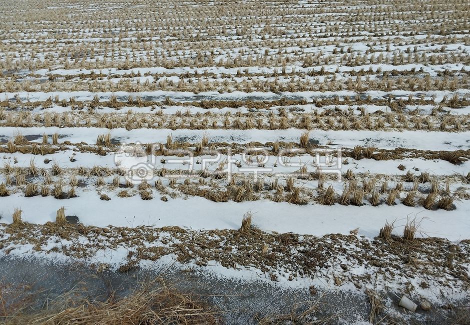 soil,토양,ground,지면,nature,자연,outdoors,옥외,논,얼어붙은논,논바닥,얼음,ice,배경화면