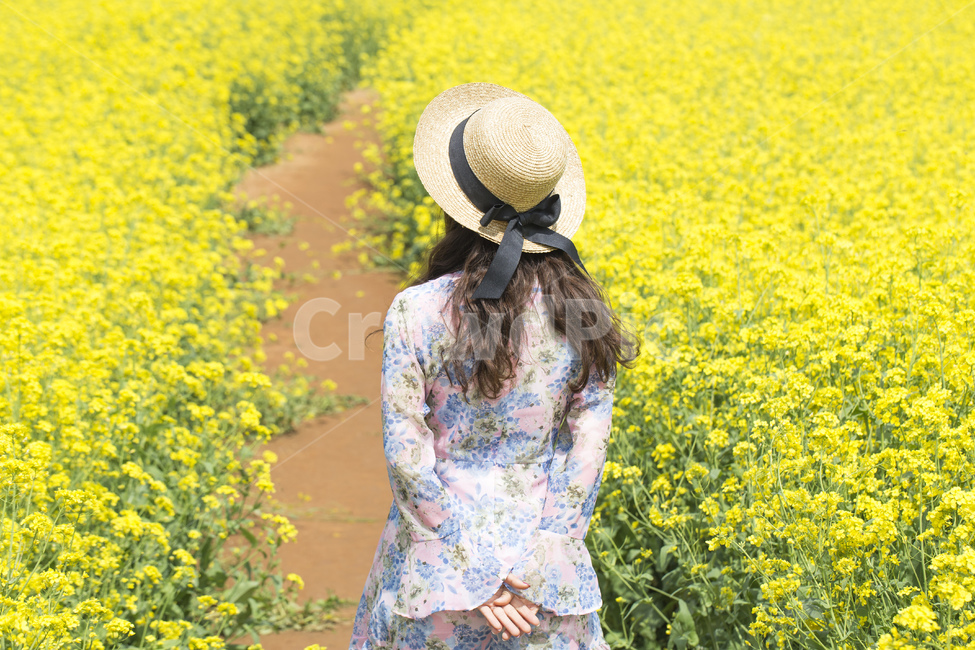 꽃,유채꽃,유채,봄꽃,봄,계절,배경화면,배경,식물,자연,노란색,노랑,여자,여성,사람,원피스,모자,챙모자,갈색머리,뒷모습,포즈,봄,계절,spring,season,여성,여자,woman,female,lady,여행,휴가,traveling,vacation,trip,sun hat,태양 모자,hat