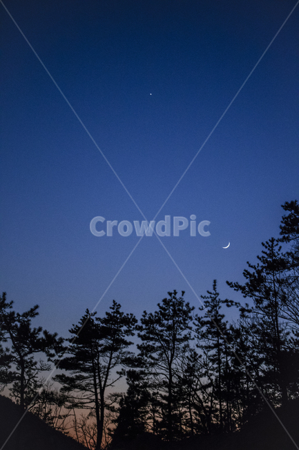 달,하늘,나무,노을,공존,야경,밤,풍경,nightscape,night,landscape