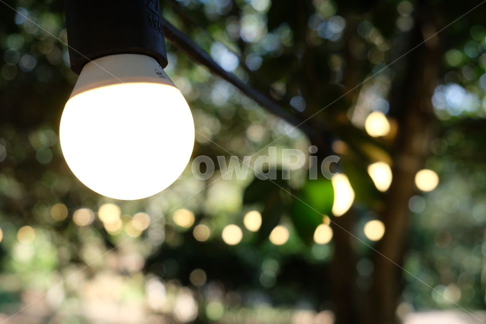 조명,전등,램프,lamp,불빛전시