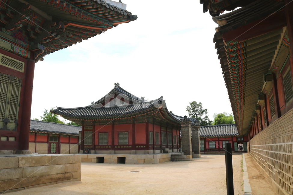 경복궁,고궁,기와지붕,서울,광화문,옛날집,한국전통,한국문화,korean traditional,korean culture,랜드마크,landmark,tourist attraction,한국랜드마크,한국관광지,한국명소,korea landmark,korea tourist attraction,건축물,건물외관,exterior,building,structure,architecture,construction