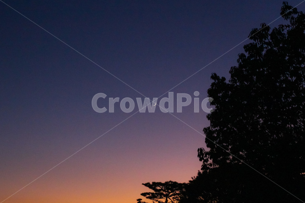초승달,달,해질녘,저녁,자연,하늘,저녁하늘,나무,옥외,손톱달,nature,outdoors,moon,sky,newmoon,crescent,색깔,색상,색채,색감,color sense,color sensitivity,feeling of color