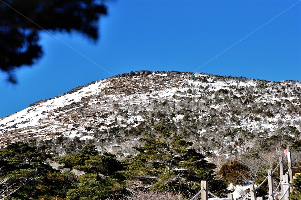 한라산,자연,백록담,산,국립공원,겨울,계절,winter,season