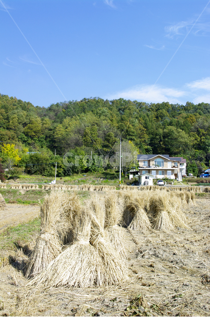 논,볏짚,풍경,산,하늘,농촌,시골,시골,마을,풍경,landscape,country,rural,town,산업,industry,industrial,농업,농사,agriculture,farming,farming industry